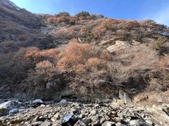 -少华山国家森林公园