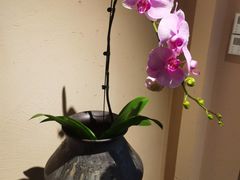 -梅间堂茶馆(绿地缤纷城店)