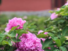 -大钟寺古钟博物馆