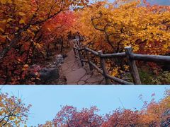 -周口店坡峰岭风景区