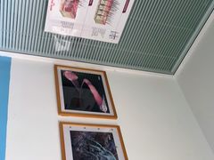 -瑞派福兴宠物医院犬猫全科·骨科·中西医结合(河东店)