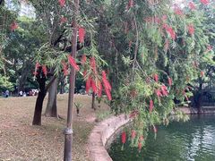 -晓港公园