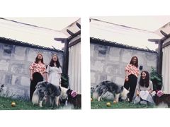 -三圣花乡旅游区