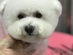-宠福鑫康馨动物医院·骨科·眼科