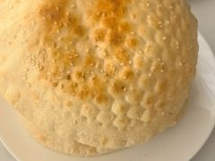-Sultan pakistan苏单巴基斯坦