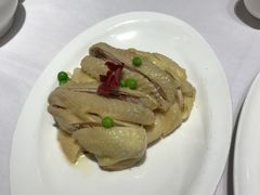 椒麻咸鸡-新吉士·上海菜(浦东LCM置汇旭辉店)