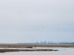 -小洋口旅游度假区