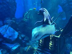 -波塞冬旅游度假区