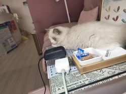 -Beauty Nails 美甲美睫皮肤管理