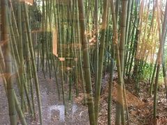 -九龙湾·御膳坊(九龙窠路店)