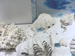 -温州博物馆