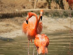 -Sony Store索尼(广州正佳店)