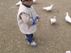 -南通洲际绿博园