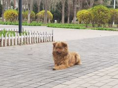 -首都师范大学(良乡校区)