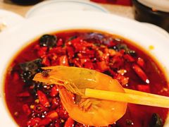 -大鸭梨烤鸭店(花园村店)