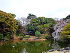 -东京国立博物馆