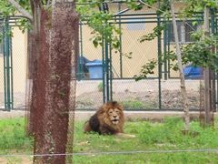 -秦皇岛野生动物园