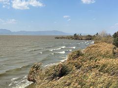 -捞渔河湿地公园