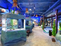 -酷嗒动物文化乐园(cutezoo西溪乐天城店)