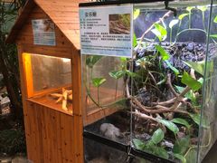 -上海大自然野生昆虫馆(东方明珠·爬宠昆虫探索中心)