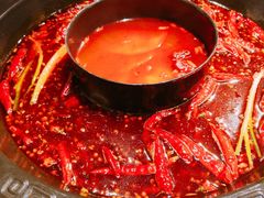 全牛油红锅-蜀大侠火锅(西大店)