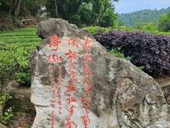 -敬亭山风景名胜区