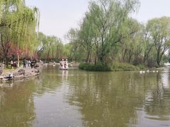 -洛阳市隋唐城遗址植物园