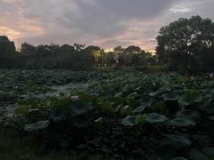 -艾溪湖湿地公园