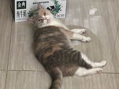 -宠欣安宠物医院·包河区中心医院