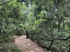 -普者黑风景区-青龙山