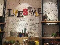 -猫咪博物馆(顶澳仔猫街店)