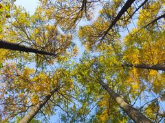-青岛崂山太清宫