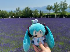-富田农场