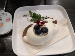 莓莓暹罗猫-猫小院猫主题咖啡厅(北锣店)