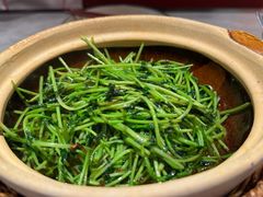 板蓝根-廖川菜(金虹桥店)