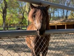 -长白岛森林公园