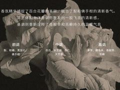 -ZARAHOME(虹桥南丰城店)