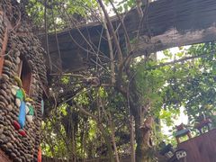 -呀路古热带植物园