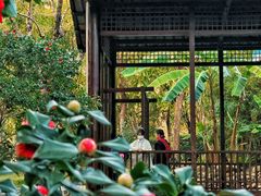 -深圳国际园林花卉博览园