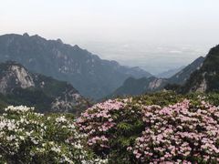 -终南山国家森林公园