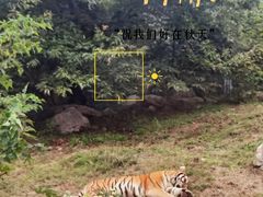 -西安秦岭野生动物园