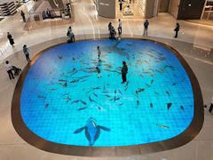 -KKV(深圳宏发大仟里店)