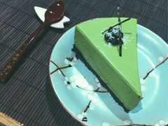 -柴务处·柴犬主题狗咖