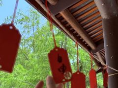 -黄陂区野村谷景区
