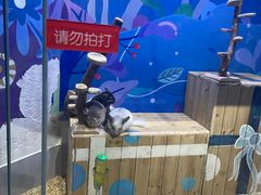 -海合安青岛极地海洋公园