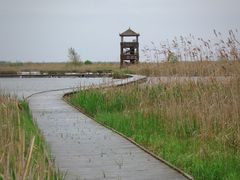 -盐城丹顶鹤湿地生态旅游区