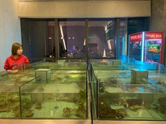 -解放碑威斯汀酒店-知味国际美食餐厅