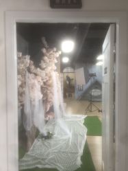 点击看大图 -可爱多国际儿童摄影会馆(龙泉店)