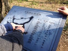 iphone_upload_pic-西湖风景区十里琅珰-五云山