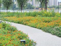 -咸阳湖景区